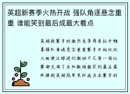 英超新赛季火热开战 强队角逐悬念重重 谁能笑到最后成最大看点