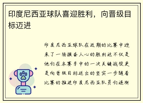 印度尼西亚球队喜迎胜利，向晋级目标迈进